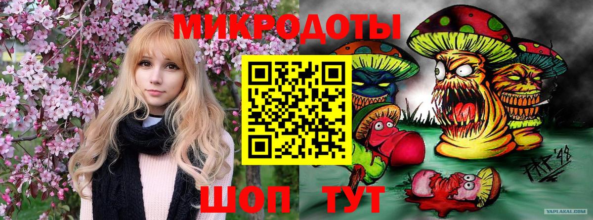 Галлюциногенные грибы прущие грибы Кингисепп