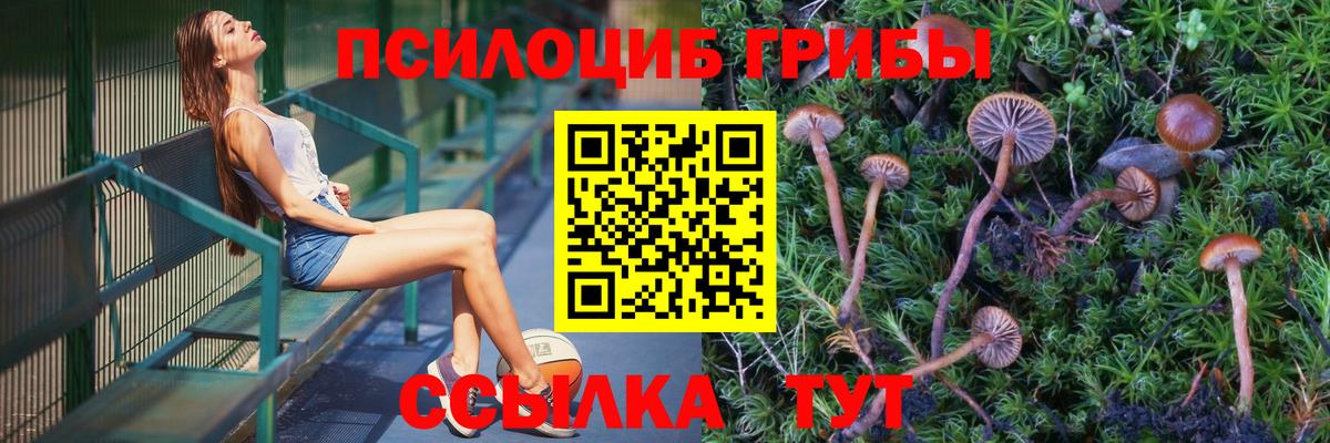 Галлюциногенные грибы Psilocybine cubensis  Галлюциногенные грибы GOLDEN TEACHER  Вход с VPN  Кингисепп 